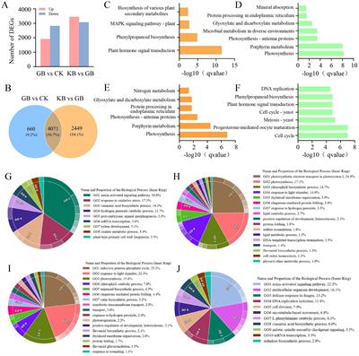 Transcriptome and metabolome analyses provide crucial insights into the adaptation of chieh-qua to Fusarium oxysporum infection